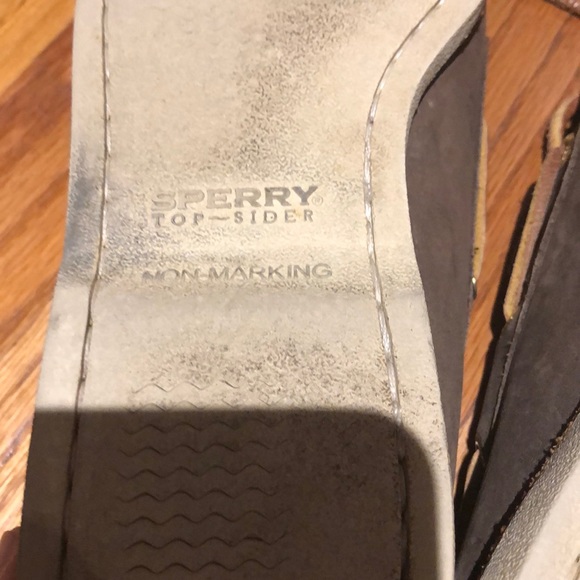 Speedy Topsider Gold Cup - Picture 6 of 6